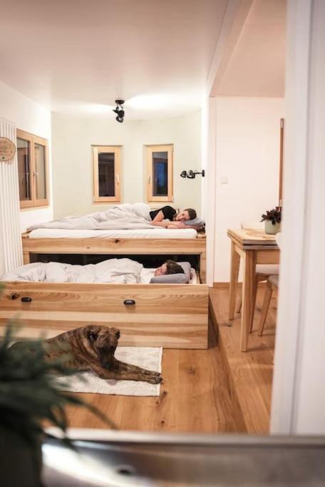 Wohnwagon Paul - Autarkie Erleben! - Tiny House Villa Oberschneiding Dış mekan fotoğraf